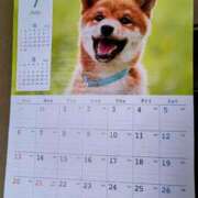 ヒメ日記 2025/07/01 07:28 投稿 みなよ 大宮おかあさん