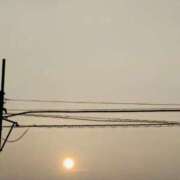 ヒメ日記 2025/07/08 05:34 投稿 みなよ 大宮おかあさん