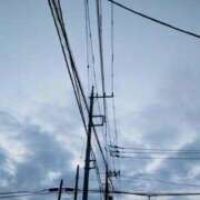 ヒメ日記 2025/07/10 05:34 投稿 みなよ 大宮おかあさん