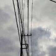 ヒメ日記 2025/07/13 07:10 投稿 みなよ 大宮おかあさん