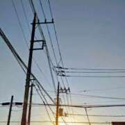 ヒメ日記 2025/07/26 05:53 投稿 みなよ 大宮おかあさん