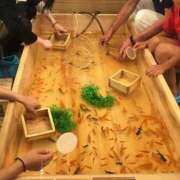 ヒメ日記 2025/07/28 13:23 投稿 みなよ 大宮おかあさん