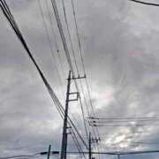 ヒメ日記 2025/08/02 07:19 投稿 みなよ 大宮おかあさん