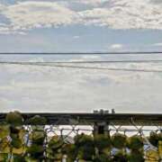 ヒメ日記 2025/08/04 08:07 投稿 みなよ 大宮おかあさん