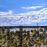 ヒメ日記 2025/08/08 08:29 投稿 みなよ 大宮おかあさん