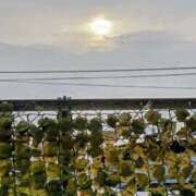 ヒメ日記 2025/08/10 07:05 投稿 みなよ 大宮おかあさん