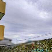 ヒメ日記 2025/08/12 07:51 投稿 みなよ 大宮おかあさん