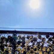 ヒメ日記 2025/08/15 07:31 投稿 みなよ 大宮おかあさん