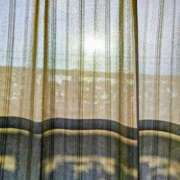 ヒメ日記 2025/08/19 06:44 投稿 みなよ 大宮おかあさん