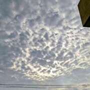 ヒメ日記 2025/08/25 07:05 投稿 みなよ 大宮おかあさん