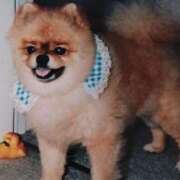 ヒメ日記 2025/08/25 09:14 投稿 みなよ 大宮おかあさん