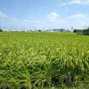 ヒメ日記 2025/08/26 16:01 投稿 みなよ 大宮おかあさん