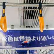 ヒメ日記 2025/08/27 12:15 投稿 みなよ 大宮おかあさん