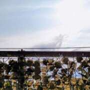 ヒメ日記 2025/08/28 07:31 投稿 みなよ 大宮おかあさん