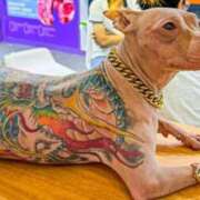 ヒメ日記 2025/08/29 07:30 投稿 みなよ 大宮おかあさん