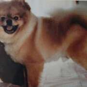 ヒメ日記 2025/08/30 08:28 投稿 みなよ 大宮おかあさん