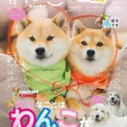 ヒメ日記 2025/09/02 12:57 投稿 みなよ 大宮おかあさん