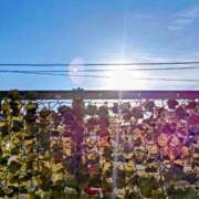 ヒメ日記 2025/09/03 06:35 投稿 みなよ 大宮おかあさん