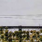 ヒメ日記 2025/09/05 06:47 投稿 みなよ 大宮おかあさん