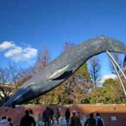 ヒメ日記 2025/09/05 08:03 投稿 みなよ 大宮おかあさん