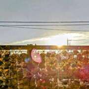 ヒメ日記 2025/09/12 06:14 投稿 みなよ 大宮おかあさん