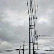 ヒメ日記 2025/09/20 06:59 投稿 みなよ 大宮おかあさん