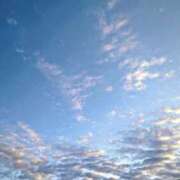 ヒメ日記 2025/09/22 06:15 投稿 みなよ 大宮おかあさん