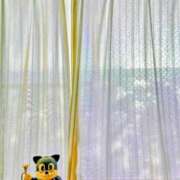 ヒメ日記 2025/09/23 06:48 投稿 みなよ 大宮おかあさん