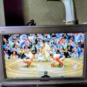 ヒメ日記 2025/09/25 17:29 投稿 みなよ 大宮おかあさん