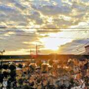 ヒメ日記 2025/09/30 06:39 投稿 みなよ 大宮おかあさん