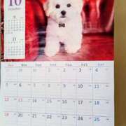 ヒメ日記 2025/10/01 06:38 投稿 みなよ 大宮おかあさん