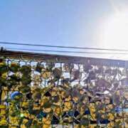 ヒメ日記 2025/10/08 07:30 投稿 みなよ 大宮おかあさん