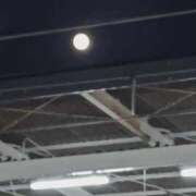 ヒメ日記 2025/11/07 08:24 投稿 みなよ 大宮おかあさん