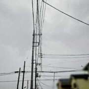 ヒメ日記 2025/11/09 08:16 投稿 みなよ 大宮おかあさん