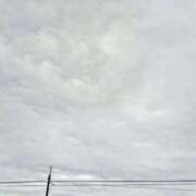 ヒメ日記 2025/11/13 08:16 投稿 みなよ 大宮おかあさん