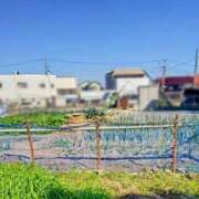 ヒメ日記 2025/11/17 12:07 投稿 みなよ 大宮おかあさん