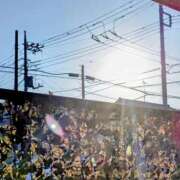 ヒメ日記 2025/11/24 08:26 投稿 みなよ 大宮おかあさん