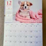 ヒメ日記 2025/12/01 09:16 投稿 みなよ 大宮おかあさん