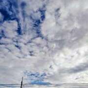 ヒメ日記 2025/12/20 09:53 投稿 みなよ 大宮おかあさん