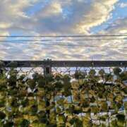 ヒメ日記 2025/12/27 08:12 投稿 みなよ 大宮おかあさん