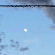 ヒメ日記 2026/01/01 16:56 投稿 みなよ 大宮おかあさん