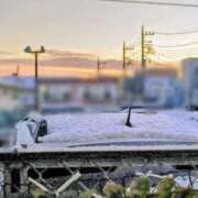 ヒメ日記 2026/01/03 07:36 投稿 みなよ 大宮おかあさん