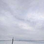 ヒメ日記 2026/01/11 07:44 投稿 みなよ 大宮おかあさん