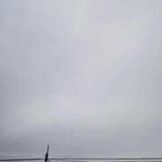 ヒメ日記 2026/02/17 08:26 投稿 みなよ 大宮おかあさん