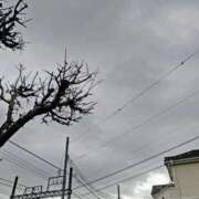 ヒメ日記 2026/02/24 10:08 投稿 みなよ 大宮おかあさん