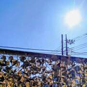 ヒメ日記 2026/03/08 08:36 投稿 みなよ 大宮おかあさん