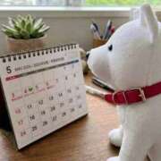 ヒメ日記 2026/04/26 11:46 投稿 みなよ 大宮おかあさん