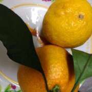 ヒメ日記 2024/12/11 08:07 投稿 るみ 大宮おかあさん