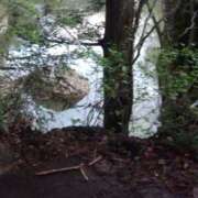 ヒメ日記 2025/05/03 07:38 投稿 るみ 大宮おかあさん