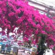 ヒメ日記 2025/05/05 16:09 投稿 るみ 大宮おかあさん